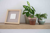 Happy Hands cadre en bois pour empreinte X6030003