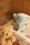 Jollein hochet main et pied  Hippo Happy 071-001-68235