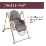 Chicco chaise haute polly armonia scandinavian 07087140610000