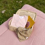 Bemini gigoteuse magic bag 4-12m blush tetra jersey tog 1 154CADUM44CU