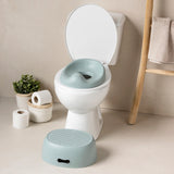 Nattou petit pot wc Potty 3 en 1 sauge 155007