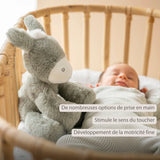 Nattou peluche âne Loulou 30cm vert foncé 318006