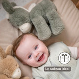 Nattou peluche âne Loulou 30cm vert foncé 318006