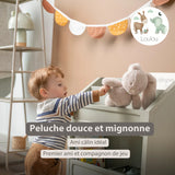 Nattou peluche lapin Loulou 30cm sable 318037