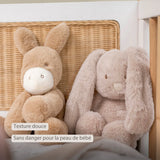 Nattou peluche lapin Loulou 30cm sable 318037