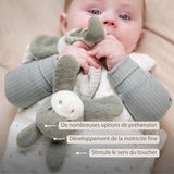 Nattou mini doudou âne Loulou vert tilleul 318051