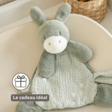 Nattou mini doudou âne Loulou vert tilleul 318051