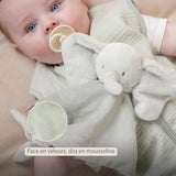 Nattou Loulou doudou éléphant vert tilleul 318105