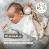 Nattou Loulou maxu doudou âne caramel 318129
