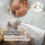 Nattou Loulou maxi doudou lapin écru 318136