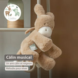Nattou peluche musicale âne 30 cm Loulou caramel clair 318167