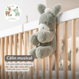 Nattou peluche musicale âne 30 cm Loulou vert foncé 318174