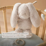 Nattou peluche musicale lapin Loulou 30cm sable 318181