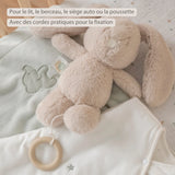 Nattou peluche musicale lapin Loulou 30cm sable 318181