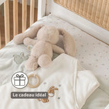 Nattou peluche musicale lapin Loulou 30cm sable 318181