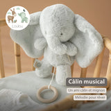 Nattou peluche musicale éléphant Loulou 30cm vert tilleul 318198