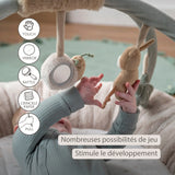 Nattou tapis d'éveil avec arches Loulou couleurs douces 318242