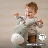Nattou animal à bascule Loulou âne vert foncé 318297