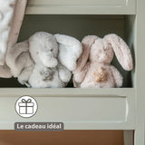 Nattou Loulou mini peluche musicale lapin sable 318440