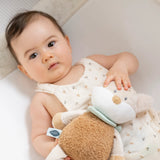 Nattou Flo, Ernest & Oli peluche renard Flo 682022