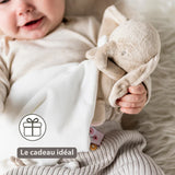 Nattou doudou câlin éléphant blanc cassé Fanfan 759090