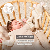 Nattou peluche musicale biche Fanfan 759168