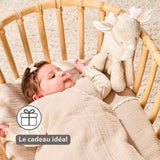 Nattou peluche musicale biche Fanfan 759168