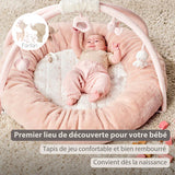 Nattou tapis d'éveil avec arches Fanfan 759243