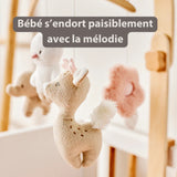 Nattou mobile musical bébé en bois Fanfan 759250