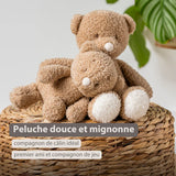 Nattou peluche bébé ours Teddy 856324