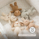 Nattou peluche bébé ours Teddy 856324