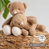 Nattou peluche bébé ours Teddy 856324
