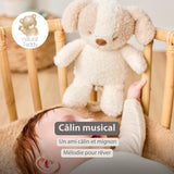Nattou peluche musicale bébé chien 25cm Teddy blanc/beige 856362
