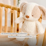 Nattou peluche musicale bébé chien 25cm Teddy blanc/beige 856362