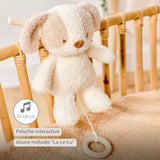 Nattou peluche musicale bébé chien 25cm Teddy blanc/beige 856362