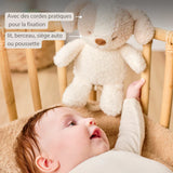Nattou peluche musicale bébé chien 25cm Teddy blanc/beige 856362