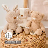 Nattou peluche musicale bébé chien 25cm Teddy blanc/beige 856362