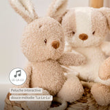 Nattou peluche musicale bébé lapin 25cm Teddy Beige 856386