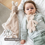 Nattou doudou attache-sucette lapin Teddy beige 856447