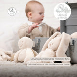 Nattou pieuvre d'activité Lapidou sable 874267