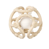 Nattou set de balles silicone argile & blanc 874373
