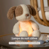 Nattou veilleuse bébé chien Teddy 874595