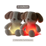 Nattou veilleuse bébé chien Teddy 874595