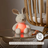 Nattou veilleuse bébé lapin Teddy 874601