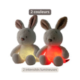 Nattou veilleuse bébé lapin Teddy 874601