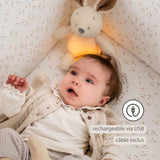 Nattou veilleuse bébé lapin Teddy 874601