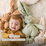 Nattou Lapidou peluche douce lapin vert tilleul 874632