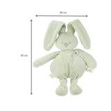 Nattou Lapidou peluche douce lapin vert tilleul 874632