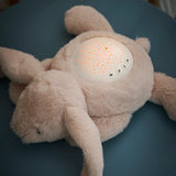 Nattou veilleuse projecteur lapin beige 875622