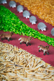 Petit Boum 3 bouteilles sensorielles forêt PBWOOD